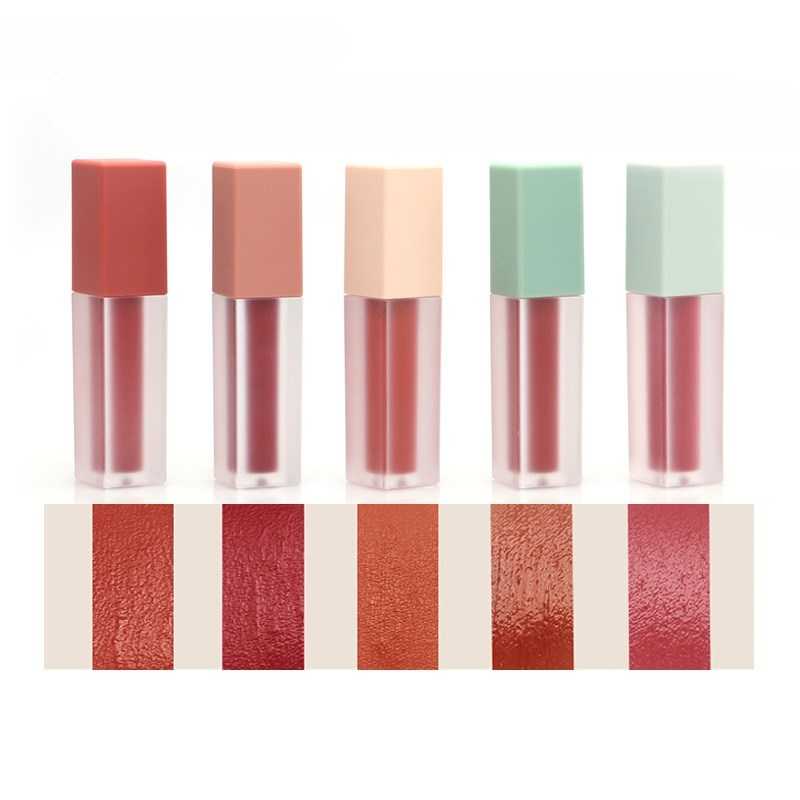 Lip Gloss Lipstick Waterproof Velvet Lip Tint 5 Colors Red Pigments Beauty Lips Liquid Matte Lipgloss Makeup Cosmetic